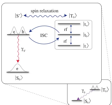 FIGURE 4Possible explanation of the relaxation fromof the spin coherence time. However, a resonant RF ﬁeld mixes the spin jT0i to the groundstate jS0i: the charge relaxation follows a spin transition to the auxiliarysinglet level jS0i