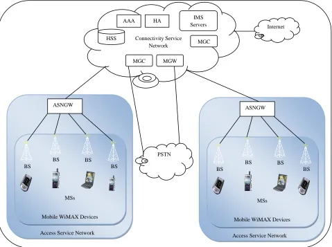 Figure 2.6: Mobile WiMAX Network [38] 