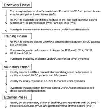 Figure 1. Overview of the study design. 