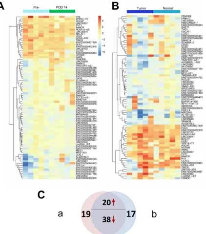 Figure 2. Differentially expressed lncRNAs (P < 0.05 and fold change > 2) from two sets of genome-wide lncRNA microarray profiles