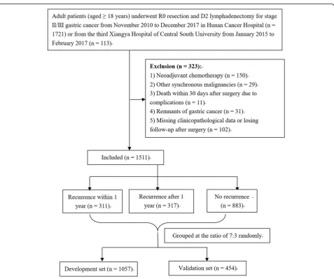 Fig. 1 The exclusion criteria and a flow diagram of the investigation