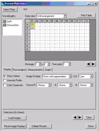 Figure 5-3 Review Plate Data dialog box with plate loaded for  analysis