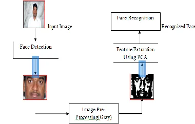 Fig. No. 4 A colored face image 