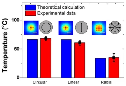 FIG. 4. Experimental and theoretical result of the on focus temperatureinduced by the 800 nm laser excitation with circular, linear, and radial polar-ization at a power of 4 mW inside the recording media