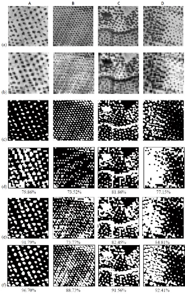 Figure 1. Mapping four landscapes, A-D. (a) Original images, each 256 × 256 pixels, (b) Spatially degraded images, each degraded by a factor of 8 and 32 × 32 pixels, (c) Hard classification of the original imagery used as reference data for the evaluation 