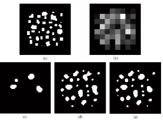 Figure 2. Patch mapping. (a) Simulated image, (b) Spatially degraded image used as soft classification for input to super-resolution analyses, (c) Output from HNN(E), (d) Output from HNN(A), (f) Output from HNN2