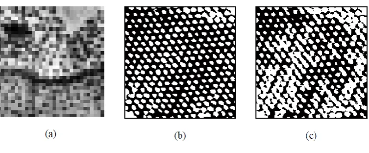 Figure 4. Importance of using appropriate prior information. (a) Image of landscape C, (b) prior information derived for landscape B, (c) output from HNN using prior information applied to the degraded image of landscape C (see Figure 1b)