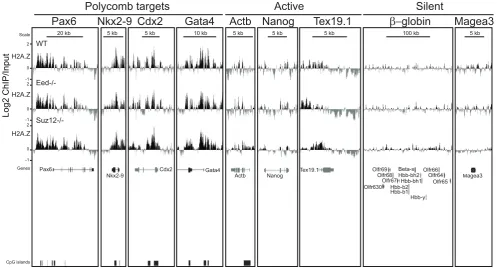 Figure 6.Hoxd) and their flanking genomic regions. The data represent a mean of 2 biological replicates, (3 technical replicates)