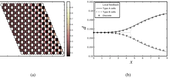 Figure 8: (a) The steady state level of Delta activity predicted by the discrete model(1) in a section of a two-dimensional array (δ = 0.5, L = 10.5), and (b) a comparisonbetween the levels of Delta activity indicated by the discrete and homogenised models