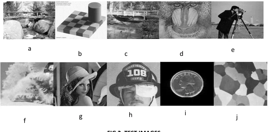 FIG 2: TEST IMAGES 