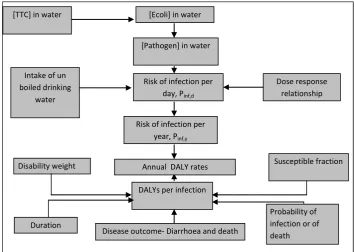 Figure 2. Schematic of the model for arsenic attributable health risks [16]. 