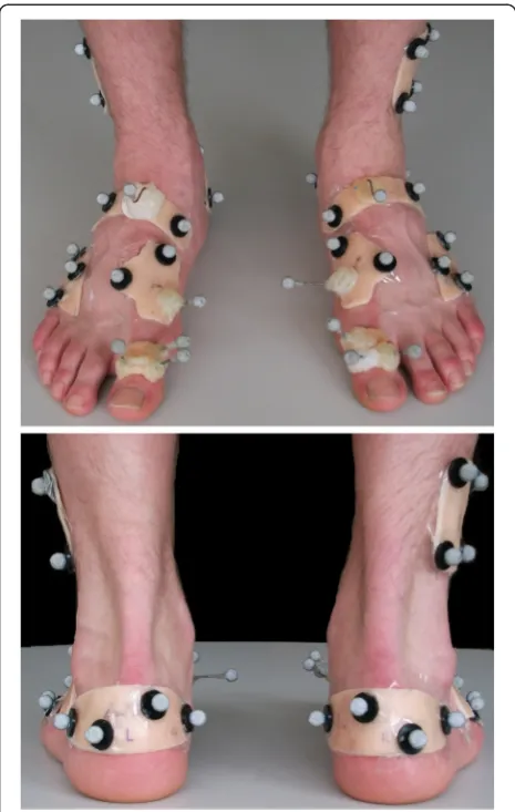 Figure 1 Marker and plate locations for the multi segmentfoot model.
