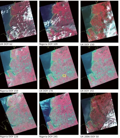 Figure 1. Geometrically-corrected DMC images used in this study; the images are displayed as false colour composites (red = DMC Band 1; green = DMC Band 2; blue = DMC Band 3);  UK = UK-DMC, Nigeria = NigeriaSat-1; the yellow rectangle on DOY 178 shows the 