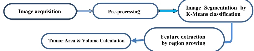 Figure (2): represents the block diagram of the processes followed in this research. 