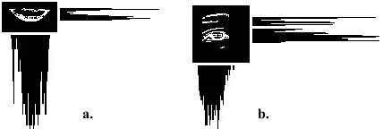 Figure 3. Projection of face components. a) horizontal and verticle projection of lip, b) horizontal and verticle projection of eye