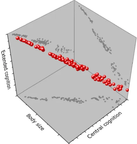 Fig. 3 Graded changes in brain–body allometry (grey dots at thebasal plane, positive Central cognition-body size correlation) do notfollow from Haller’s rule