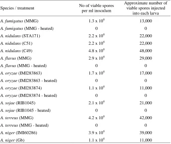 Table 3.1: Viable conidial spore number in fungal inoculua. 