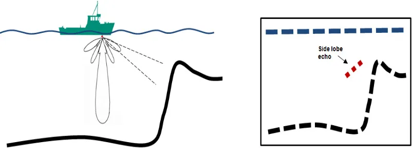 Figure 2.9: schematic example of the unwanted effect that could be generated by side lobes. Ghost echoes which do not originate from targets within the main lobe usually show up near to the rising slope of the bottom hit by a side lobe. 