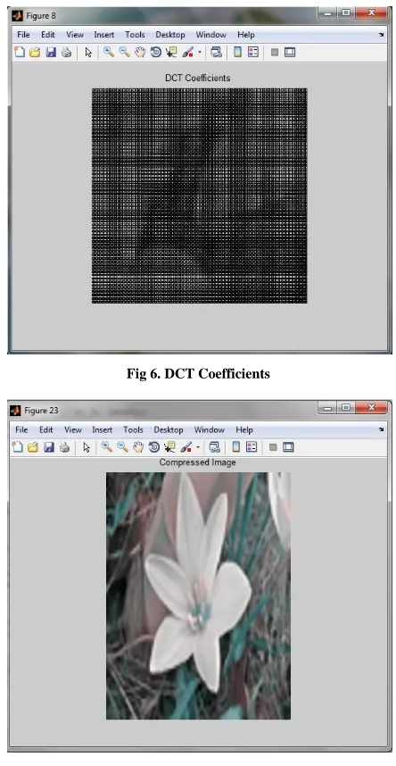 Fig 6. DCT Coefficients 