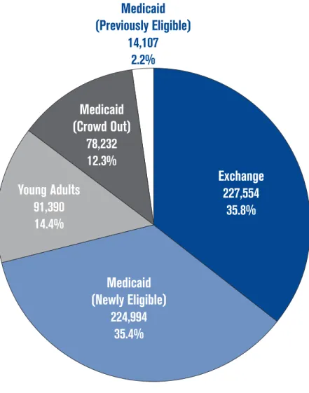 Figure 8: Sources of Insurance for PPACA-Affected Tennesseans