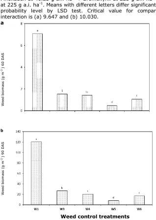 Figure 2. Influence of different weed control treatments on total weed biomass (g m-2) at (a) 60 DAS and (b) 90 DAS in three wheat cultivars