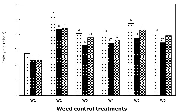 Figure 10.  Influence of different (a) weed control treatments and (b) wheat cultivars on total dry matter (g m-2) accumulation