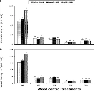 Figure 1. Influence of different weed control treatments on total weed density (m-2) at (a) 60 DAS and (b) 90 DAS in three wheat cultivars