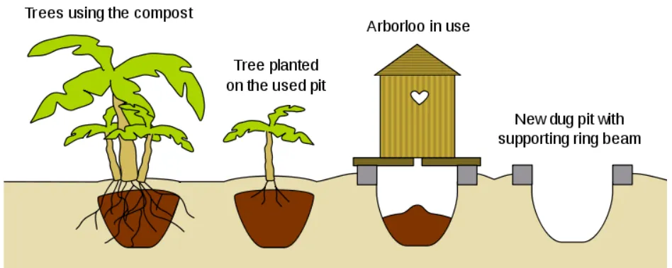 Figure 3: Arborloo 