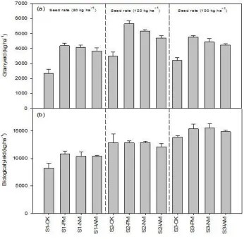 Figure 1 . Grain and biological yield of wheat affected by seed rate and mulching materials