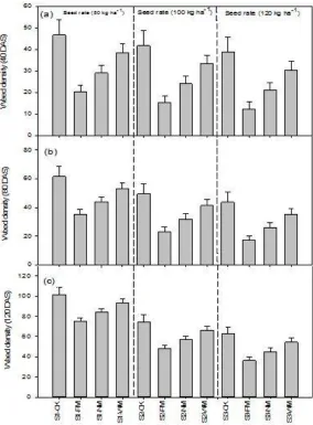 Figure 2. Grain and biological yield of wheat affected by seed rate and mulching materials