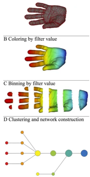 Figure 1 | The approach as applied to a data set in our analysis pipeline.A) A 3D object (hand) represented as a point cloud
