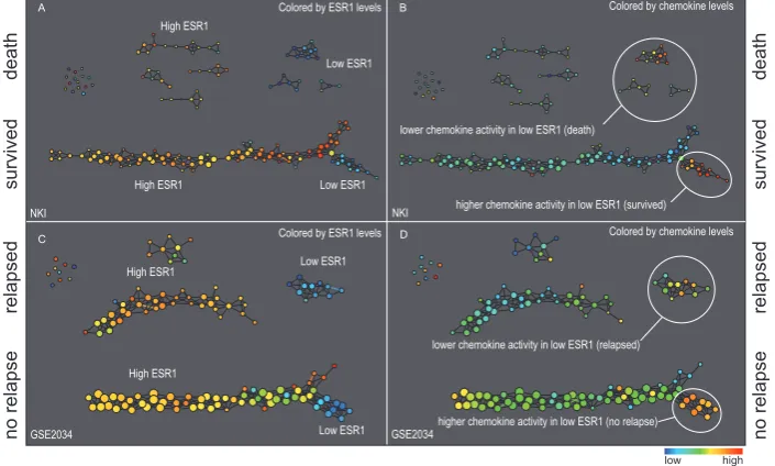 Figure 2 |relapse were used to generate the networks. The top half of panels A and B are the networks of patients who didn’t survive, the bottom half are the patientsblue: low values.who survived