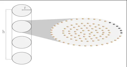 FIGURE 1 | Schematic representation of the cylindrical geometry of theatrial myocyte model