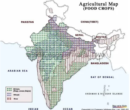 Figure 1. Agricultural Map of India. Source: Google India 