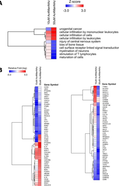 Figure 1. Functional enrichment analysis of differentially expressed genes in Ac4ManNAz treated A549 cells