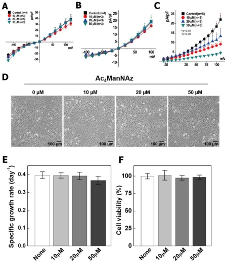 Figure 2. Analysis of channel activation, proliferation ability, and viability on Ac4ManNAz treated A549 cells