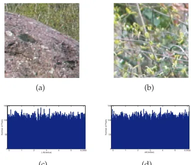 Fig. 2. (a)-(b) An image pair used in our experiments. (c)The distribution of Δφ for the part of the face occluded bythe scarf.