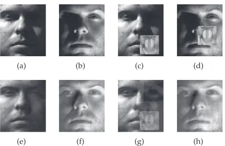 Fig. 6.PCA-based reconstruction of gradient orienta-tions. (a)-(b) Original orientations used in version 1 of ourexperiment