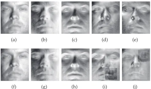 Fig. 11. Recognition rate as a function of the percentageof occlusion.