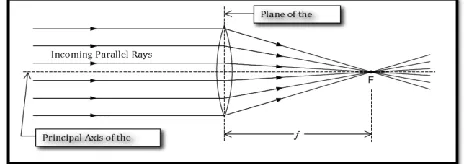 Figure 1. Concentration of incident rays by convex lens 