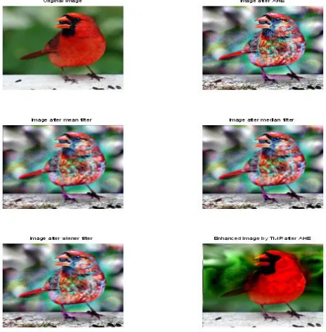 Table I  Comparison of Performance Measures for Transformed Image-I 