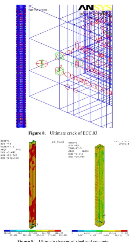 Figure 8.  Ultimate crack of ECC.03 