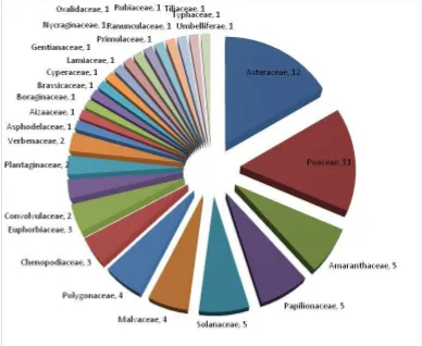 Figure 1. Percentage of weeds families in sugarcane fields of Bannu, Pakistan 