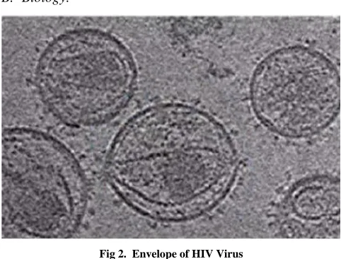 Fig 2.  Envelope of HIV Virus 