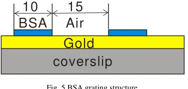 Fig. 5 BSA grating structure. 