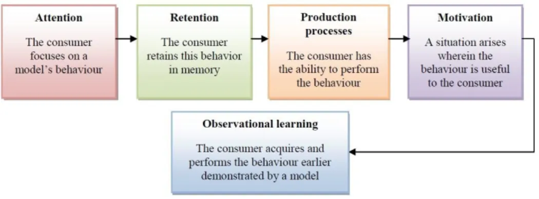 Figure 3: Process of observational learning (Source:  Solomon et al, 1999) 