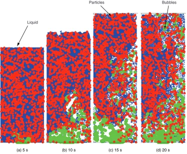 Figure 10: Computed flow structure of the gas-liquid-particle three-phase flows in = = 