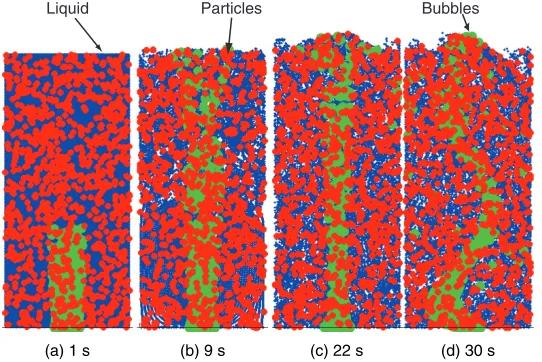 Figure 2: Computed flow structure of the gas-liquid-particle three-phase flow under = =