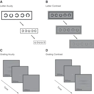 FIGURE 2.The four computer-basedpsychophysical tasks used to assessperformance along the acuity andsensitivity dimensions
