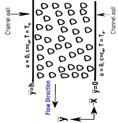 Figure 1.  Physical set-up of flow in a saturated vertical porous channel  